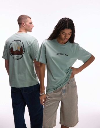 Dickies outdoor graphic back print t-shirt in light green