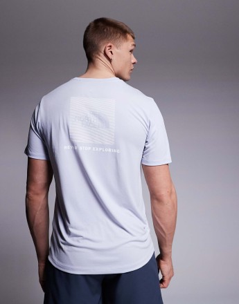 The North Face Training 24/7 Box NSE backprint t-shirt in grey