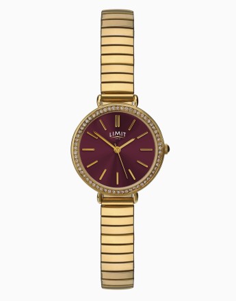 Limit classic 26mm womens round analogue watch in gold